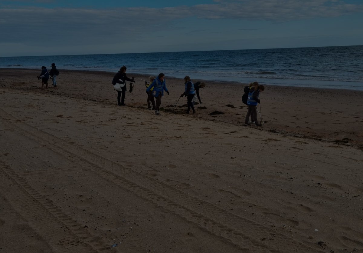 beach-clean-cropped-60